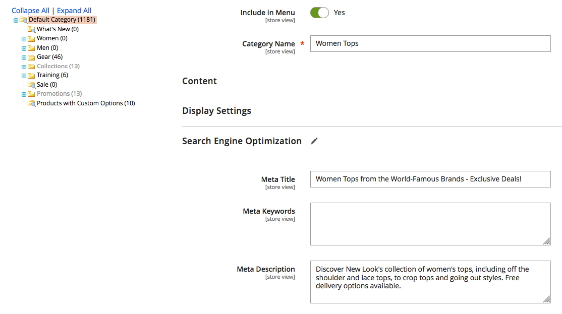 Optimalisatie voor metatags in Magento2